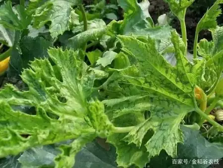 消之宝 消之宝
